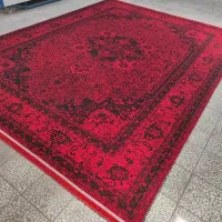 فرش قرمز|فرش|رشت, معلولین|دیوار