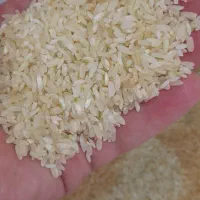 برنج لنجان معطر         کالابرگ  اصفهان کارت  آزاد|خوردنی و آشامیدنی|اصفهان, رزمندگان|دیوار