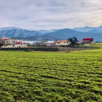 زمین-250-متر-ویو-بسیار-زیبا-کجور-کوهپر