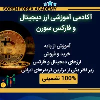 آموزش ترید ارزدیجیتال و فارکس(آموزشگاه سورن)