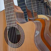 فروش گیتار توسط مدرس با هفت روز مهلت تست