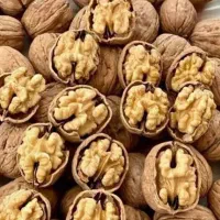 گردو تازه ودرجه یک مال تویسرکان چرب وخوشمزه