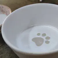 کاسه مغصوص سگ چنسی ئه ورپایی