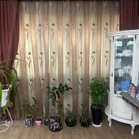 پرده ومیز ال سی دی هردوتاش ۲۵۰۰