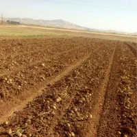 زمین وباغی به فروش میرسد