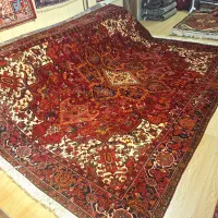 قالی ۱۲متری هریس تمام رنگ گیاهی