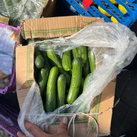 میوه لوکس برای مجالس عروسی و ختم|خدمات پذیرایی، مراسم|تهران, میدان میوه و تره‌بار مرکزی|دیوار