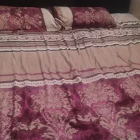 ۲ عدد تخت با تشک