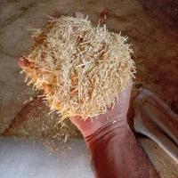 کاه گندم|لوازم جانبی حیوانات|خاوه, |دیوار