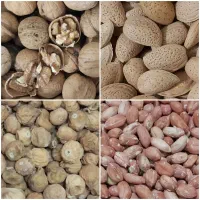 گردو بادام زمینی بادام درختی مغز گردو مویز کشمش