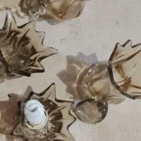 لاله های لوسBIGوS .قیمت impossible