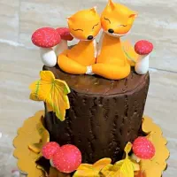 پک فوندانت مناسب قنادیها