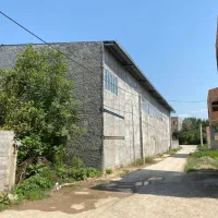 فروش زمین به مساحت ۱۷۲ متر فوری فوری به علت مهاجرت|فروش زمین و ملک کلنگی|ساری, |دیوار