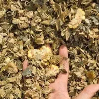 ذرت علوفه ای( چاپر ) بسته‌بندی ۳۰ کیلویی اعلاء|عمده‌فروشی|اهواز, آریاشهر|دیوار