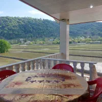 ویو باکوه وشالیزار کاملا دربست