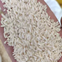 برنج علی کاظمی معطر