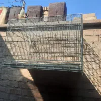 قفس غلامی بافت قدیم هستن سایز بزرگ ۶۴×۴۰|لوازم جانبی حیوانات|اهواز, منبع اب|دیوار