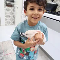 خرگوش