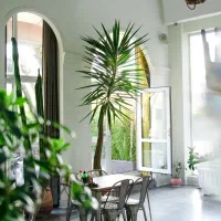 سالن کار|استخدام خدمات فروشگاه و رستوران|تهران, سعادتآباد|دیوار