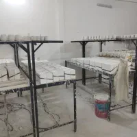 استخدام فوری در تولیدی ظروف چینی سرامیک