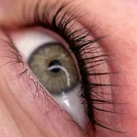 تتو خط چشم و بن مژه