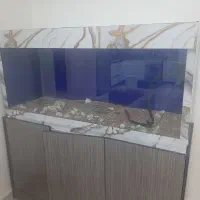 اکواریوم شیشه خم