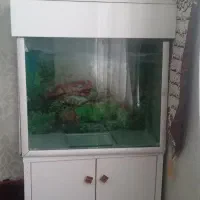 اکواریم باتمام وسایل