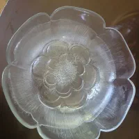 کاسه بشقاب طرح یخی