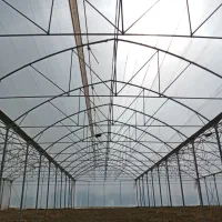 مشاره طراحی اجرا سازه گلخانه|خدمات باغبانی و درختکاری|رشت, کوی مهر|دیوار