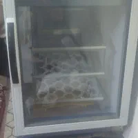 دستگاه جوجه کشی