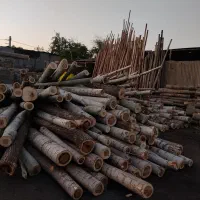 فروش انواع نردبان چوبی و درب چوبی|عمدهفروشی|مشکیندشت, |دیوار