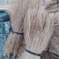 فروش گسکی شاری