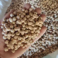 نخود درجه یک برای تخم|عمده‌فروشی|خزل, |دیوار