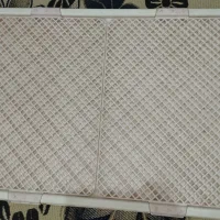 وسایل سگ|لوازم جانبی حیوانات|شیراز, کوشک میدان|دیوار