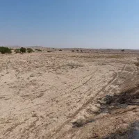 زمین کشاورزی مساحت ۵/۵ هکتار خورموج بحیری نودرار