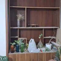 کتابخانه و بوفه دیواری