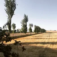 فروش زمین ۱۲۰۰ متری