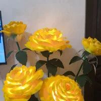 گل اباژور کنارسالنی|حراج|خرم‌آباد, |دیوار