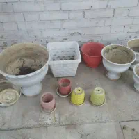 همه گلدان‌ها با هم 300|گل و گیاه طبیعی|اهواز, بهارستان|دیوار