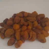 فروش آلوبخارا