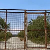 فروش-زمین-300-متری-در-دماوند-جابان