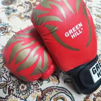 دستکش بوکس Green Hill