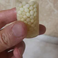 حلزون و تخم حلزون