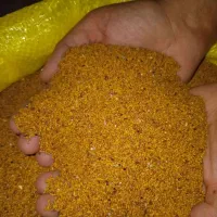 بذر(تخم) یونجه اصلی قره ملیح