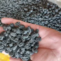 مویز بی دانه ترکمان چار