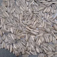 طبخ آجیل خشکبار(شورکاری) و‌میوه خشک