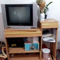 تلویزیون
