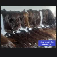 مو خام