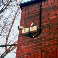 نصب دوربین و فروش دوربین مداربسته