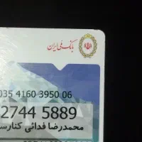 محمد رضا فدایی کنارسری ملی پیدا شده در دور استخر